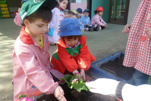 Preme para ver a foto ampliada