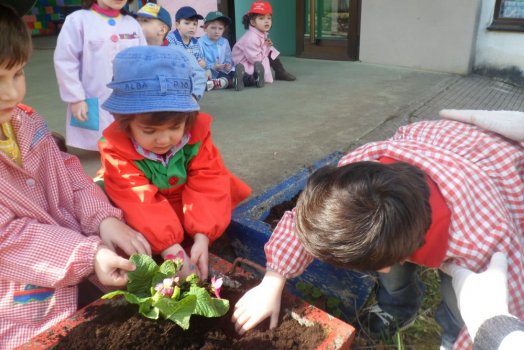 Preme para ver a foto ampliada