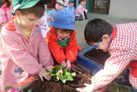 Preme para ver a foto ampliada