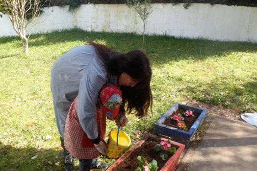 Preme para ver a foto ampliada