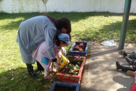 Preme para ver a foto ampliada