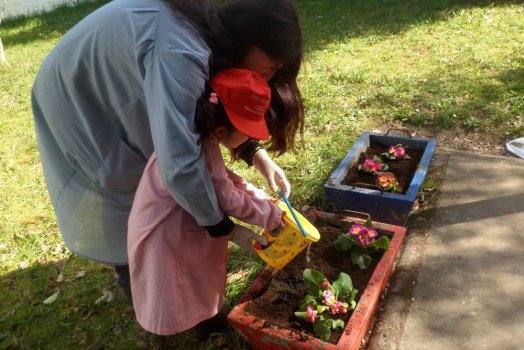 Preme para ver a foto ampliada