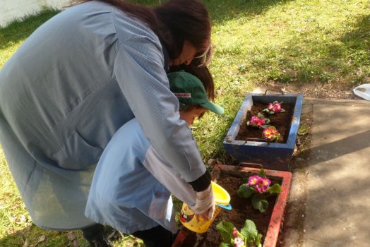 Preme para ver a foto ampliada