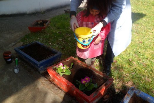 Preme para ver a foto ampliada