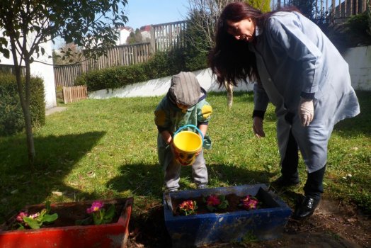 Preme para ver a foto ampliada