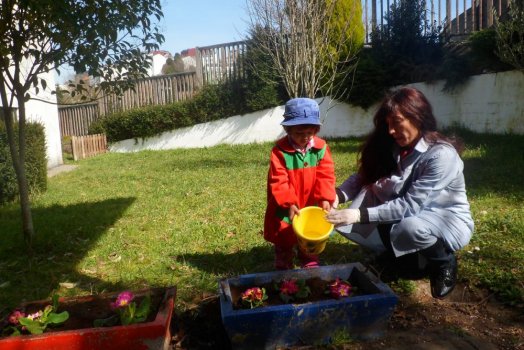 Preme para ver a foto ampliada
