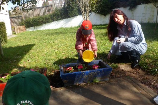 Preme para ver a foto ampliada