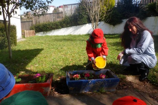 Preme para ver a foto ampliada