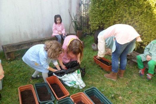 Preme para ver a foto ampliada