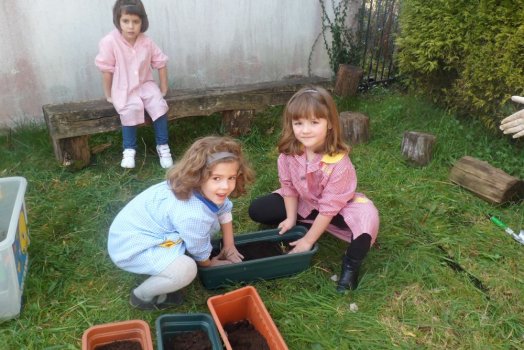 Preme para ver a foto ampliada