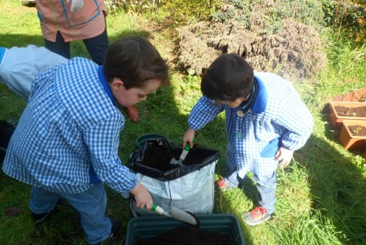 Preme para ver a foto ampliada