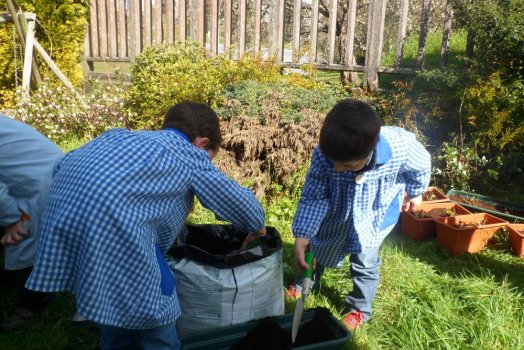 Preme para ver a foto ampliada