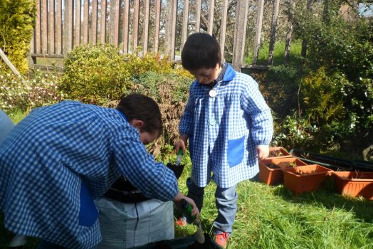 Preme para ver a foto ampliada