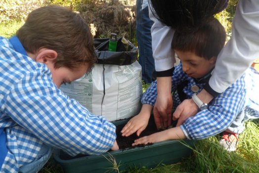 Preme para ver a foto ampliada