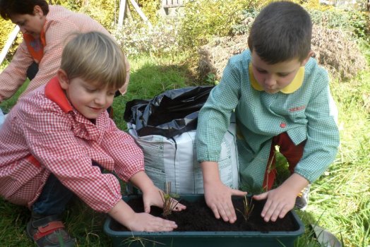 Preme para ver a foto ampliada