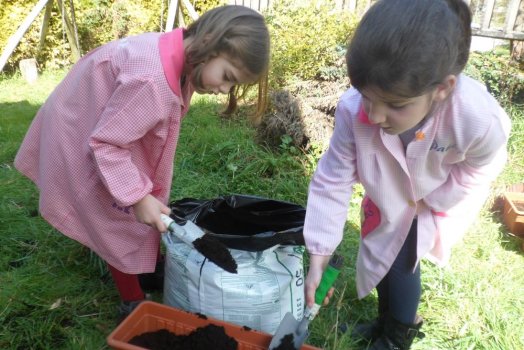 Preme para ver a foto ampliada