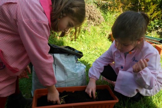 Preme para ver a foto ampliada