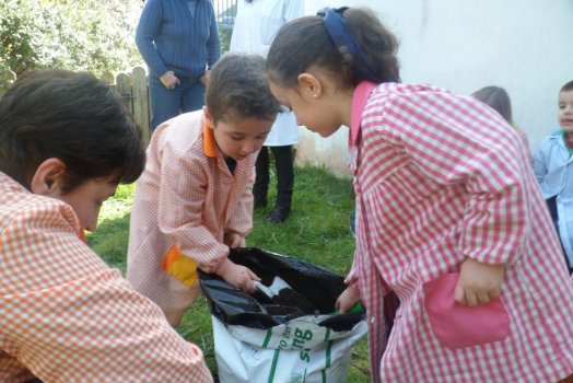 Preme para ver a foto ampliada