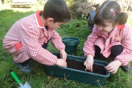 Preme para ver a foto ampliada