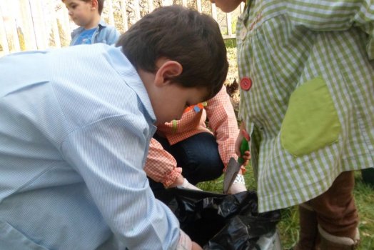 Preme para ver a foto ampliada