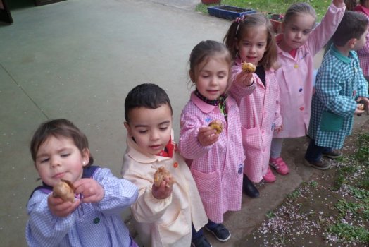 Preme para ver a foto ampliada