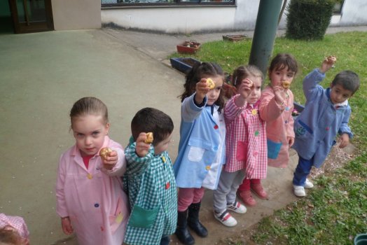 Preme para ver a foto ampliada