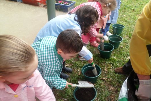 Preme para ver a foto ampliada