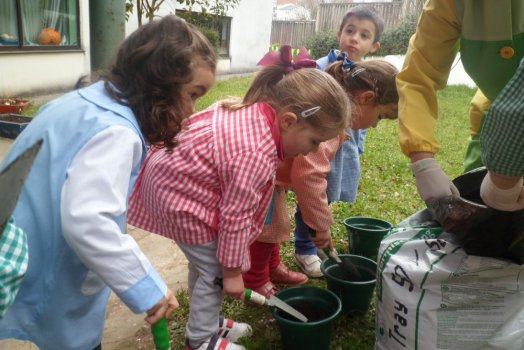 Preme para ver a foto ampliada