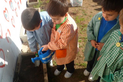 Preme para ver a foto ampliada