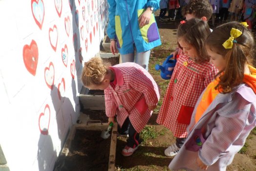 Preme para ver a foto ampliada