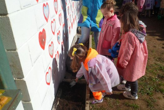 Preme para ver a foto ampliada