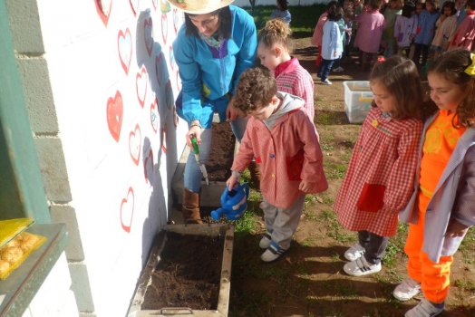 Preme para ver a foto ampliada