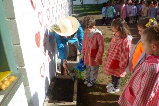 Preme para ver a foto ampliada