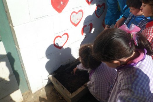 Preme para ver a foto ampliada