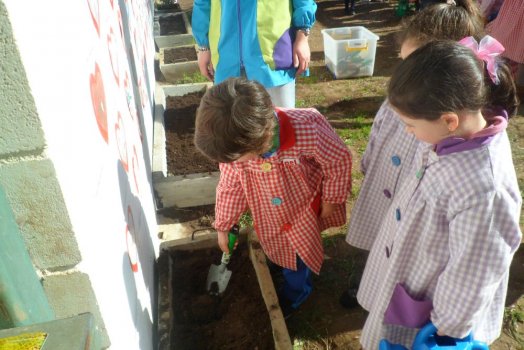 Preme para ver a foto ampliada