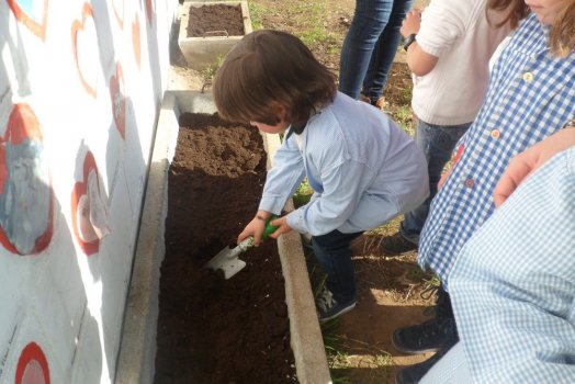 Preme para ver a foto ampliada