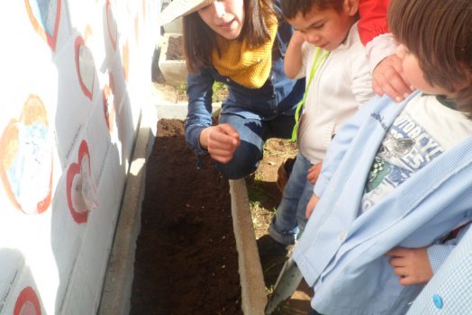 Preme para ver a foto ampliada