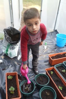 Preme para ver a foto ampliada