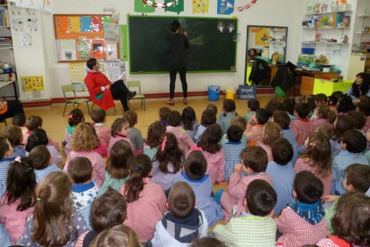 Preme para ver a foto ampliada