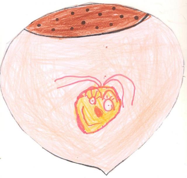 MAGOSTO2008.ANABARRERA