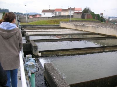 Klikk for å vise bildet i full størrelse