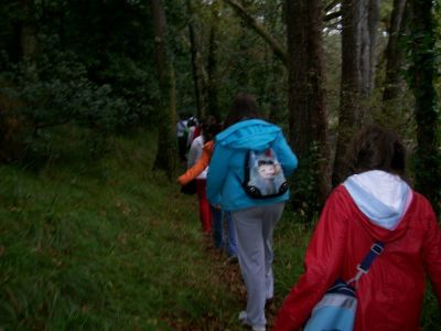 Uzspied, lai redzētu pilna izmēra attēlu