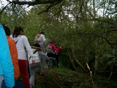 Клікніть щоб побачити фото повного розміру