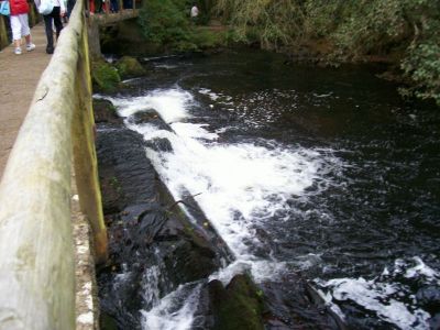 Uzspied, lai redzētu pilna izmēra attēlu