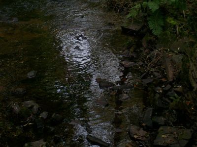 पूरे आकार की इमेज कि लिये क्लिक करॅ