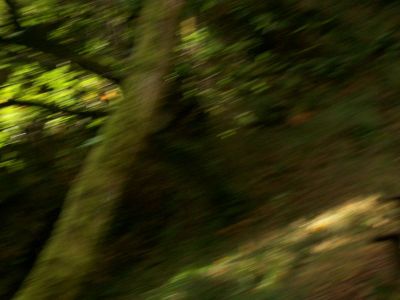 पूरे आकार की इमेज कि लिये क्लिक करॅ