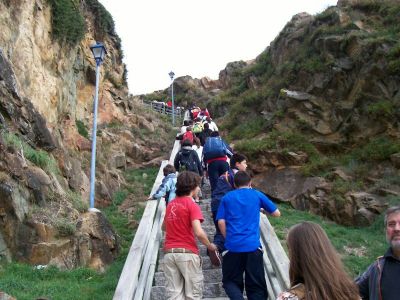 Preme para ver a foto ampliada