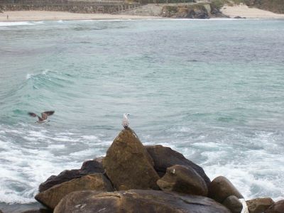 Hemen sakatu irudia tamaina osoan ikusteko