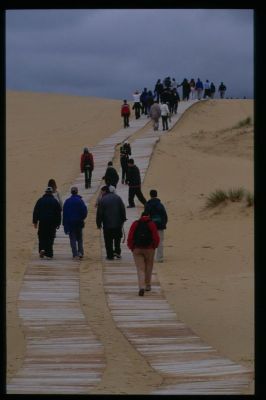 לחץ לתצוגת גודל מלא