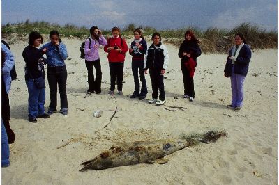 לחץ לתצוגת גודל מלא